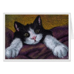 I'll get ya - tuxedo kitten by Tanya Bond Greeting Cards