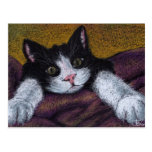 I'll get ya! tuxedo kitten postcard by Tanya Bond