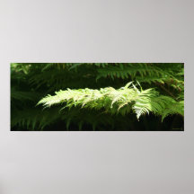 Illuminated Fern Leaf Poster