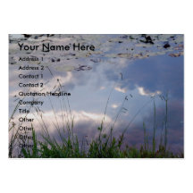 Illusions Business Cards