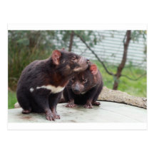 I'm A Little Devil Postcard