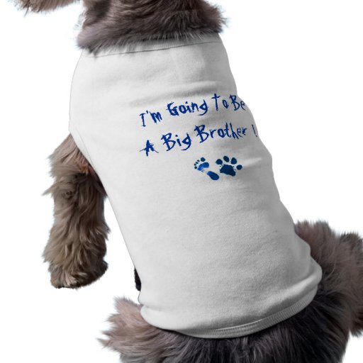I'm Going To Be A Big Brother Dog Clothing