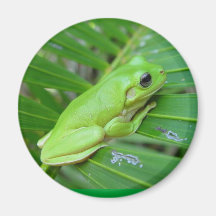 I'm Green Magnet