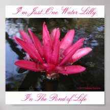 I'M JUST ONE WATER LILLY IN THE POND OF LIFE PRINT