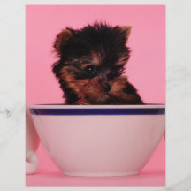 I'm not a Tea Cup Poodle! Flyers