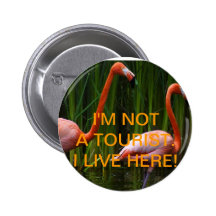 I'M NOT A TOURIST. I LIVE HERE! BUTTONS