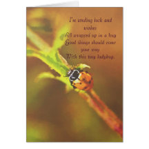 I'm sending luck..ladybug greetingcard