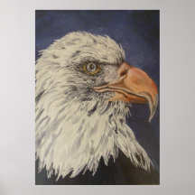 im so cool print