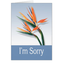 I'm Sorry Greeting Card