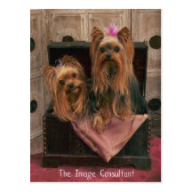 Image Consultant Post Card