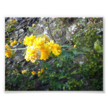image of a beautiful flowers. photo art