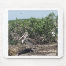 IMG_1568.JPG MOUSEPAD