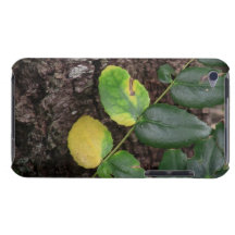 IMG_1644.JPG iPod TOUCH Case-Mate CASE