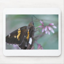 IMG_2745 MOUSE PAD