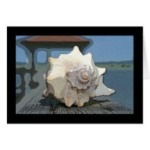 IMG_9615 conch Greeting Card