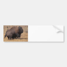 Impact Bumper Sticker