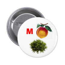 Impeach Bush Pin