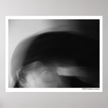 Impulsive Poster