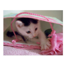 in a gift bag postcard