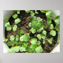 In a Pot Print