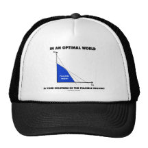 In An Optimal World Is Your Solution Feasible? Hats