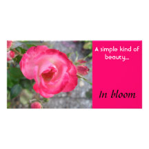 In Bloom - notecard Photo Card Template