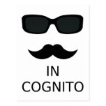 In Cognito Postcards