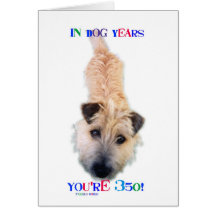 In Dog Years You're 350 Greeting Cards
