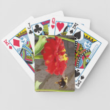 In for a Landing Card Decks