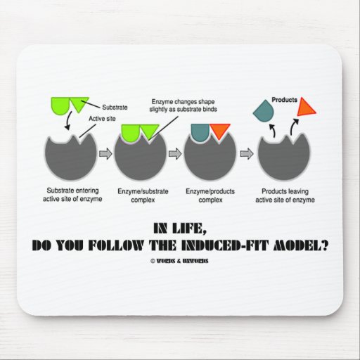 In Life, Do You Follow The Induced-Fit Model? Mouse Mat