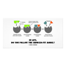 In Life, Do You Follow The Induced-Fit Model? Photo Greeting Card