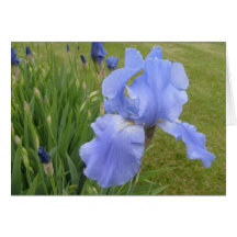 in my garden card