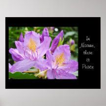 In Nature there is Peace art prints Floral Rhodies