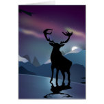 In The Aurora Cards