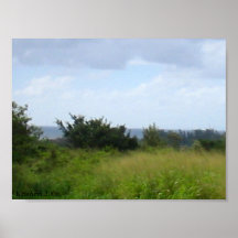 In the fields poster