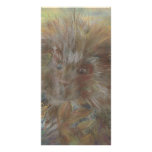 In Your Face Porcupine Photo Card