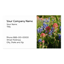 Indian Paintbrush Bluebonnet Business Card