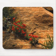 Indian Paintbrush Mousepad