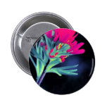 Indian Paintbrush Pins