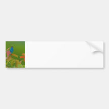 Indigo on Stage Bumper Stickers