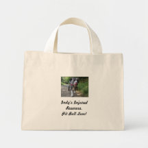 Indy's Cancas bags.