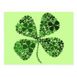 Infinitely Lucky 4-leaf Clover Post Cards