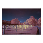 Infrared American Cemetery Crosses Art Photo