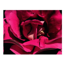 Ink Rose Notes Card Postcards