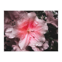 Inner Glow Canvas Print
