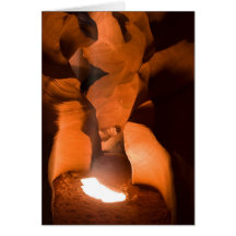 Inner Light Cards