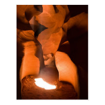 Inner Light Postcard