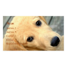 Innocent Abby Business Card