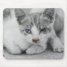 Innocent Kitten Mousepads