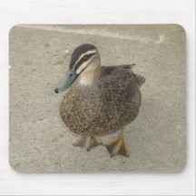Inquisitive Duck Mouse Pad